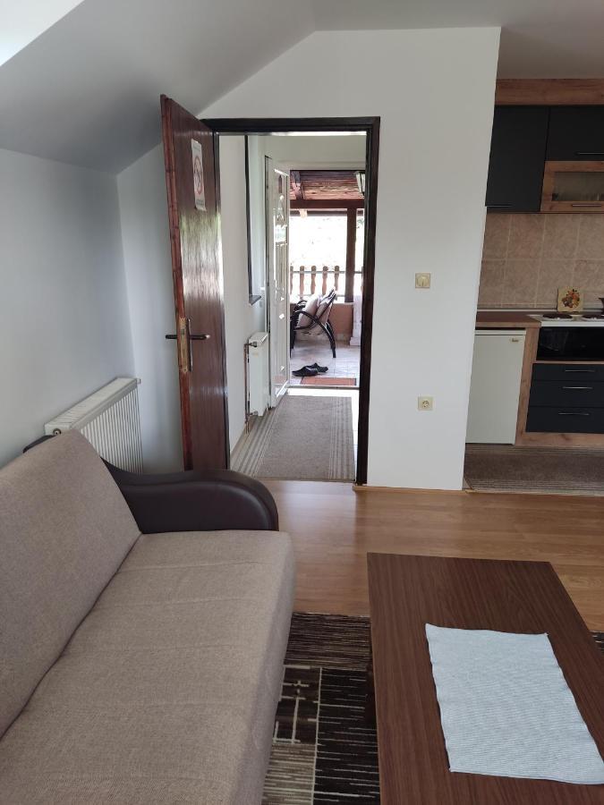 Apartmani Aleksijevic Ζλάτιμπορ Εξωτερικό φωτογραφία