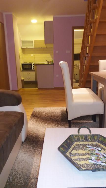 Apartmani Aleksijevic Ζλάτιμπορ Εξωτερικό φωτογραφία