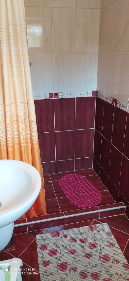 Apartmani Aleksijevic Ζλάτιμπορ Εξωτερικό φωτογραφία