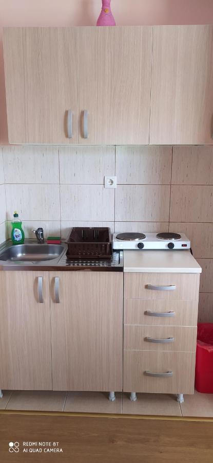 Apartmani Aleksijevic Ζλάτιμπορ Εξωτερικό φωτογραφία