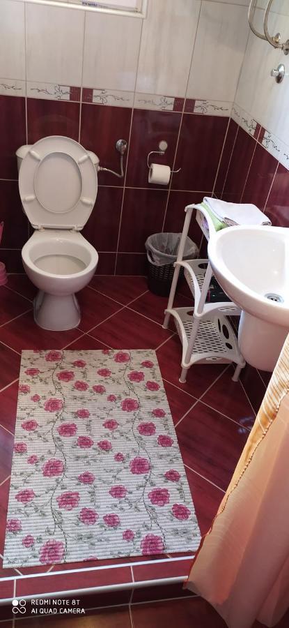 Apartmani Aleksijevic Ζλάτιμπορ Εξωτερικό φωτογραφία
