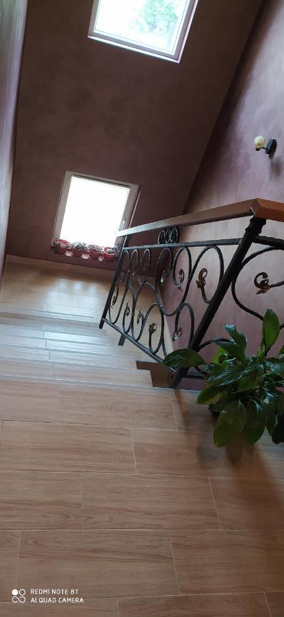 Apartmani Aleksijevic Ζλάτιμπορ Εξωτερικό φωτογραφία